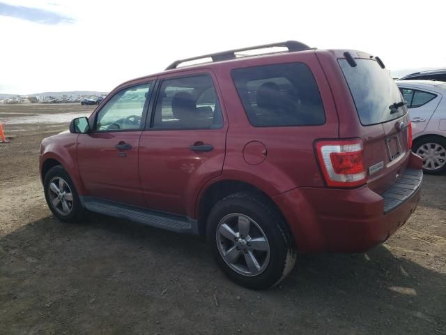 2012 Ford Escape XLT