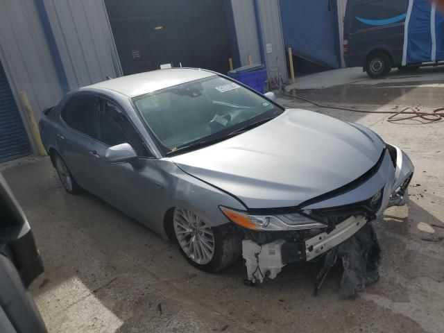 2019 Toyota Camry Hybrid