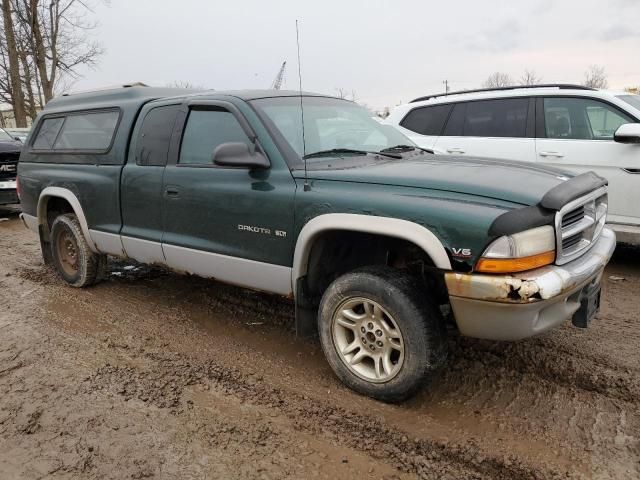 1999 Dodge Dakota