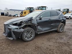 Lexus salvage cars for sale: 2023 Lexus NX 250