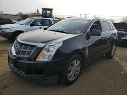 Cadillac srx Luxury Collection salvage cars for sale: 2010 Cadillac SRX Luxury Collection