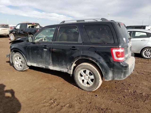 2010 Ford Escape Limited