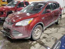 Salvage cars for sale from Copart Anchorage, AK: 2016 Ford Escape SE