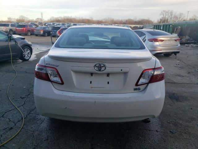 2009 Toyota Camry Hybrid