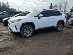 Salvage cars for sale at Bowmanville, ON auction: 2021 Toyota Rav4 XLE