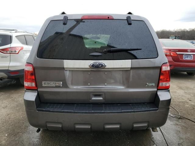 2012 Ford Escape Limited