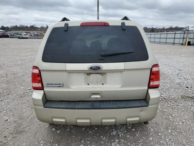 2010 Ford Escape XLT