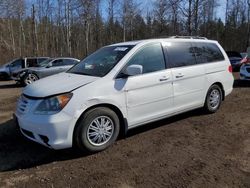 Honda salvage cars for sale: 2009 Honda Odyssey EXL