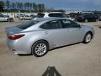 2015 Lexus ES 300H