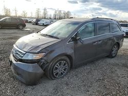 Honda salvage cars for sale: 2011 Honda Odyssey EXL