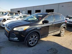 Salvage cars for sale from Copart Jacksonville, FL: 2014 Ford Escape SE