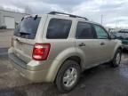 2010 Ford Escape XLS