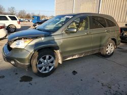 Honda salvage cars for sale: 2007 Honda CR-V EXL