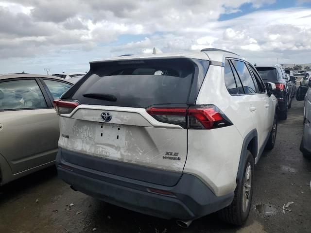 2019 Toyota Rav4 XLE