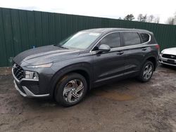 Salvage cars for sale at Finksburg, MD auction: 2023 Hyundai Santa FE SE