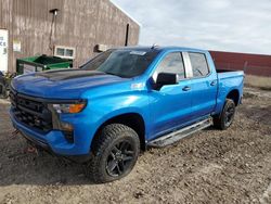 Chevrolet salvage cars for sale: 2024 Chevrolet Silverado K1500 Trail Boss Custom