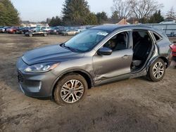 Salvage cars for sale at Finksburg, MD auction: 2021 Ford Escape SEL
