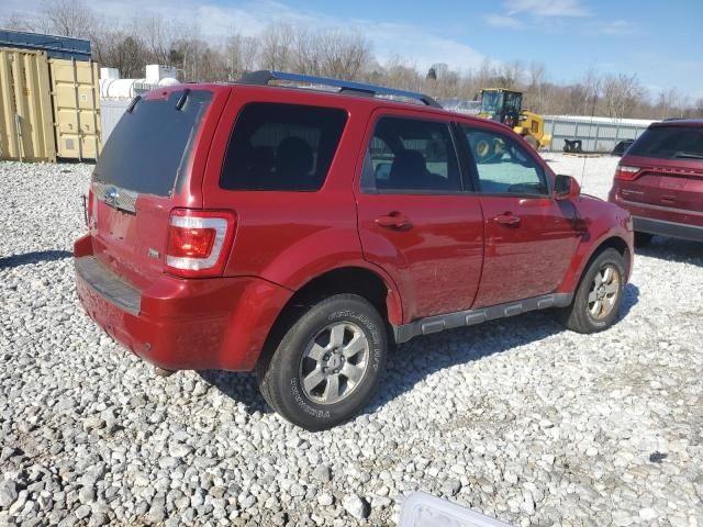 2010 Ford Escape Limited