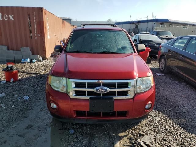 2012 Ford Escape XLT