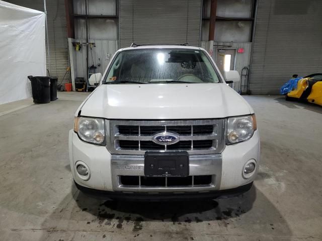 2010 Ford Escape Limited