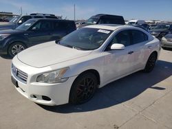 Salvage cars for sale at Grand Prairie, TX auction: 2014 Nissan Maxima S