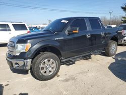 2013 Ford F150 Supercrew en venta en Lexington, KY