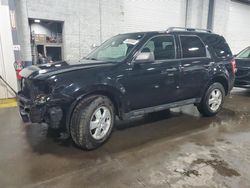 Salvage cars for sale at Ham Lake, MN auction: 2012 Ford Escape XLT