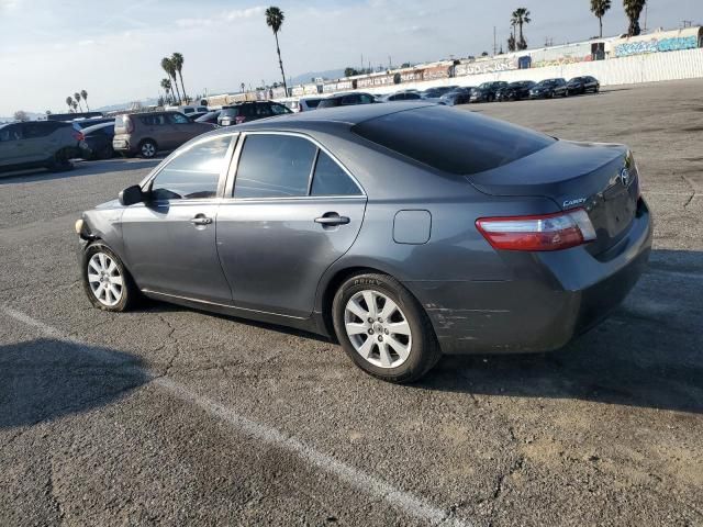 2009 Toyota Camry Hybrid