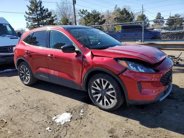 2020 Ford Escape SE Sport