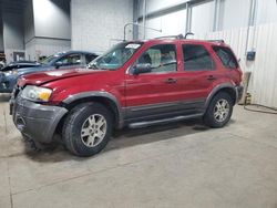 2005 Ford Escape XLT for sale in Ham Lake, MN