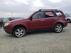 Salvage cars for sale at Antelope, CA auction: 2010 Subaru Forester 2.5X Premium