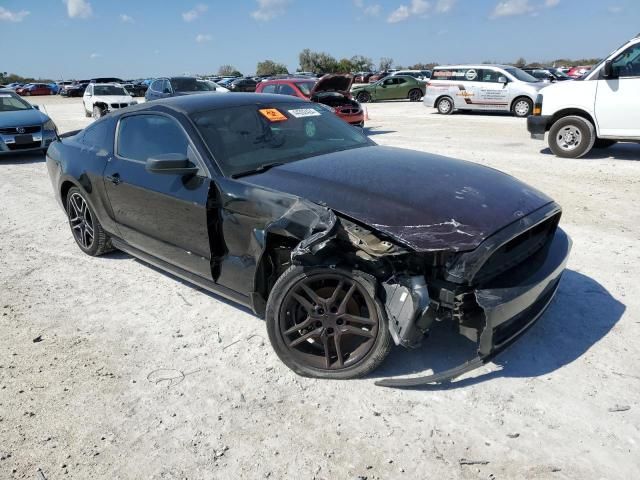 2013 Ford Mustang