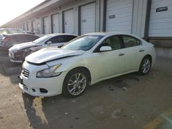 Salvage cars for sale at Louisville, KY auction: 2013 Nissan Maxima S