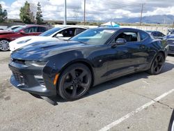 Chevrolet Camaro SS Vehiculos salvage en venta: 2017 Chevrolet Camaro SS