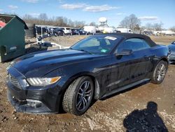 Ford Mustang salvage cars for sale: 2017 Ford Mustang