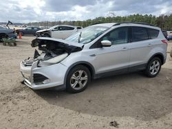 Ford Escape SE salvage cars for sale: 2014 Ford Escape SE