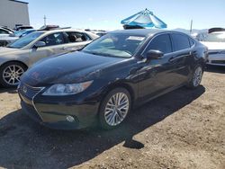 Salvage cars for sale at Tucson, AZ auction: 2013 Lexus ES 350