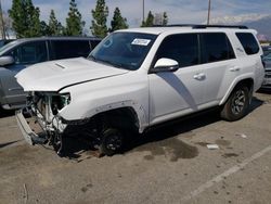 Salvage cars for sale from Copart Rancho Cucamonga, CA: 2019 Toyota 4runner SR5