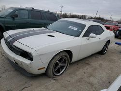 2010 Dodge Challenger SE for sale in Indianapolis, IN