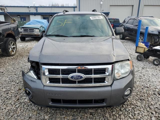 2012 Ford Escape XLT