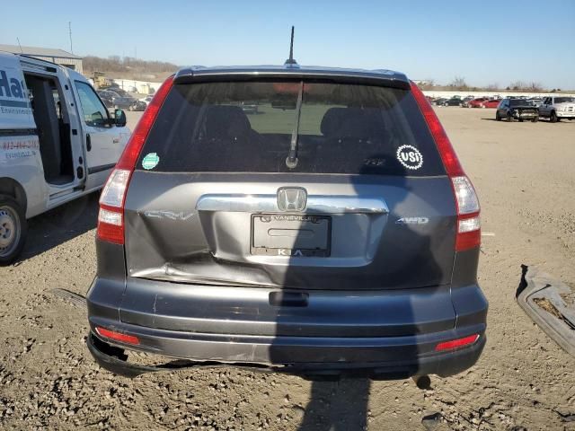 2010 Honda CR-V EXL