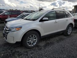 Salvage cars for sale from Copart Eugene, OR: 2013 Ford Edge SEL