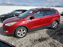 Ford salvage cars for sale: 2013 Ford Escape SE