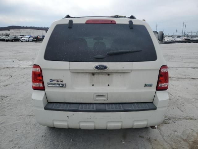 2011 Ford Escape XLT