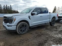 2022 Ford F150 Supercrew en venta en Bowmanville, ON