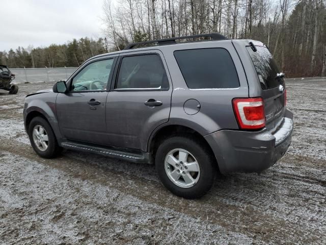 2009 Ford Escape XLT