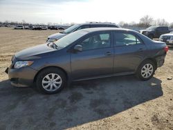 Salvage cars for sale from Copart London, ON: 2009 Toyota Corolla Base