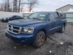 Salvage cars for sale from Copart Central Square, NY: 2009 Dodge Dakota SXT