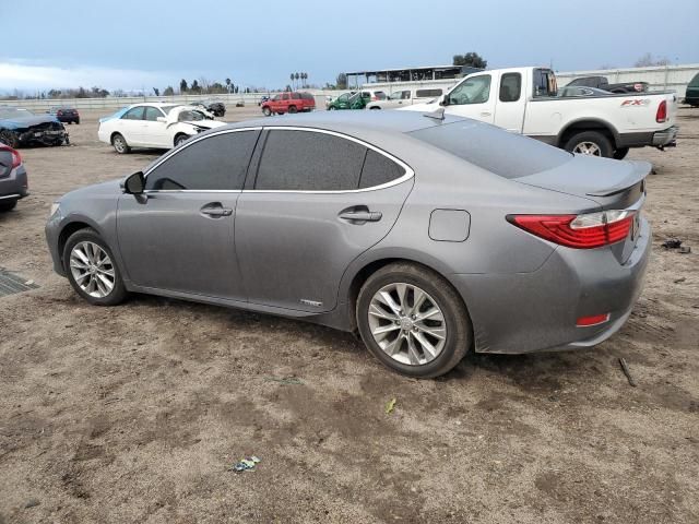 2013 Lexus ES 300H