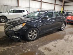 Hyundai Sonata Vehiculos salvage en venta: 2013 Hyundai Sonata SE